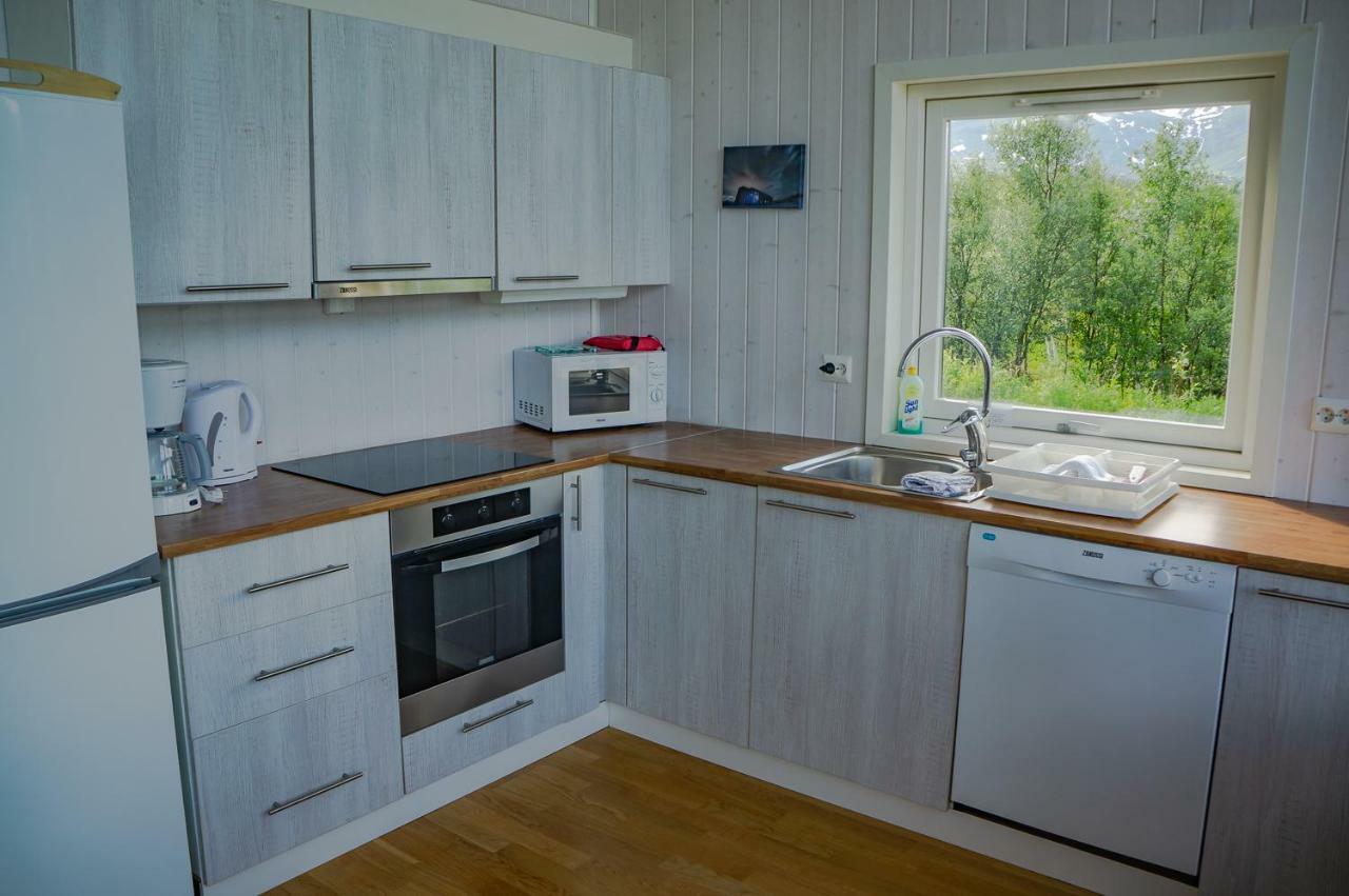 Aurora View Cabin Lyngseidet Exterior photo